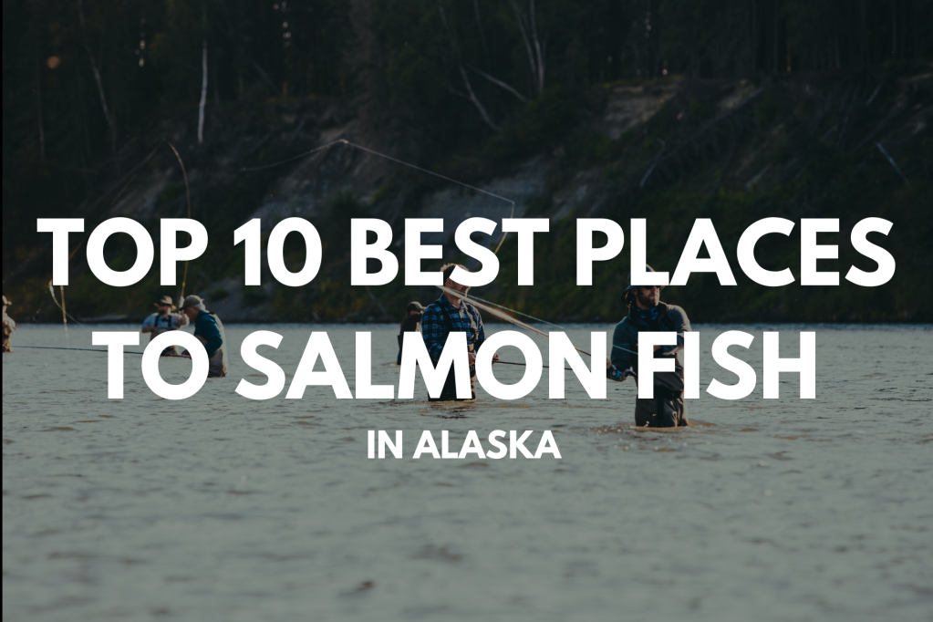 “Alaska Salmon Fishing: Top 10 Spots for an Epic Catch”