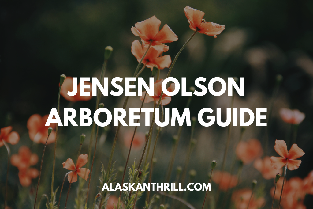 Jensen Olson Arboretum Guide: A Botanical Paradise